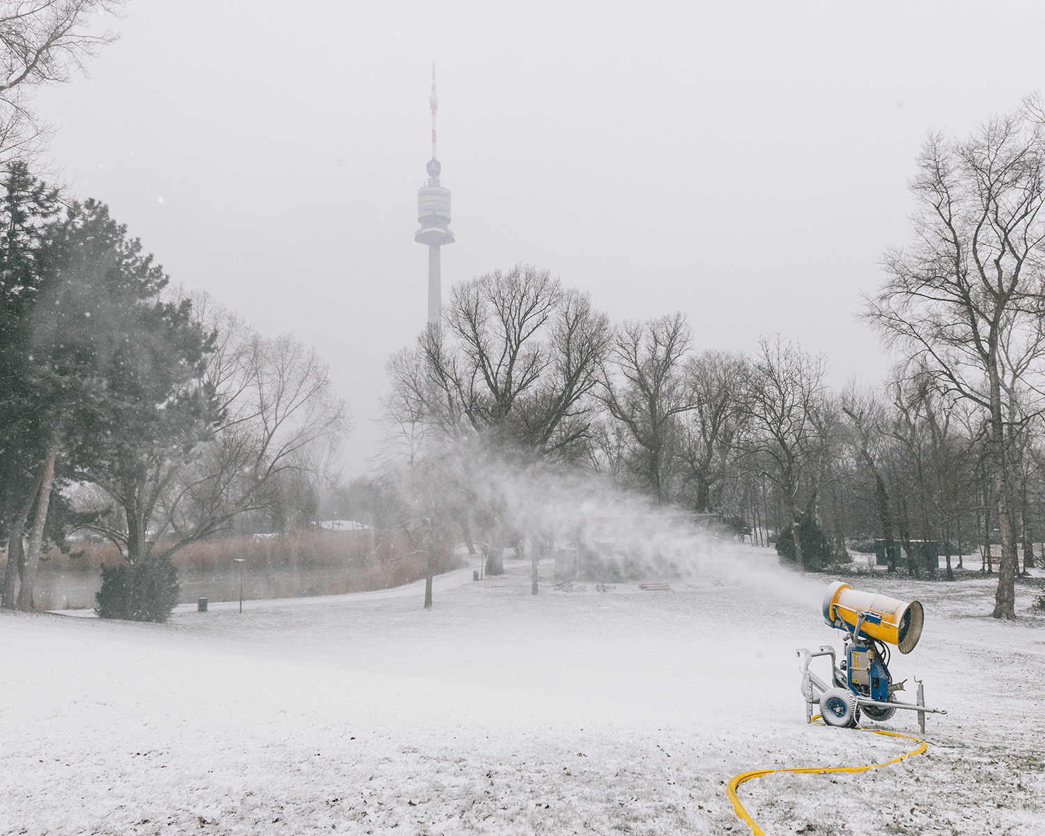 Winterlandschaft mit Bäumen und Donauturm im Hintergrund